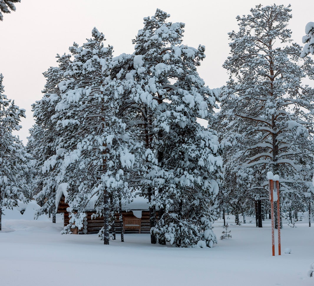 kávé a tudatos kalandoroknak