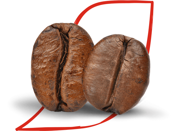 Arabica and Robusta coffee beans