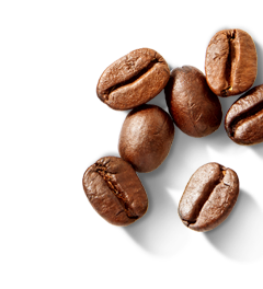 nescafé dolce gusto beans