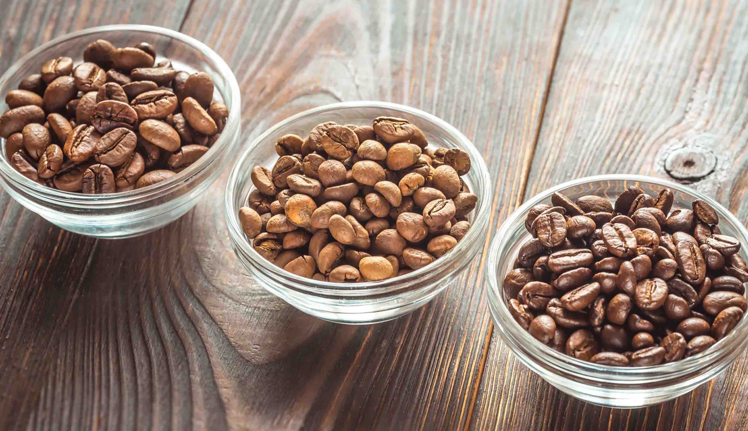 Jenis Kopi Robusta di Indonesia yang Wajib Kamu Tau!
