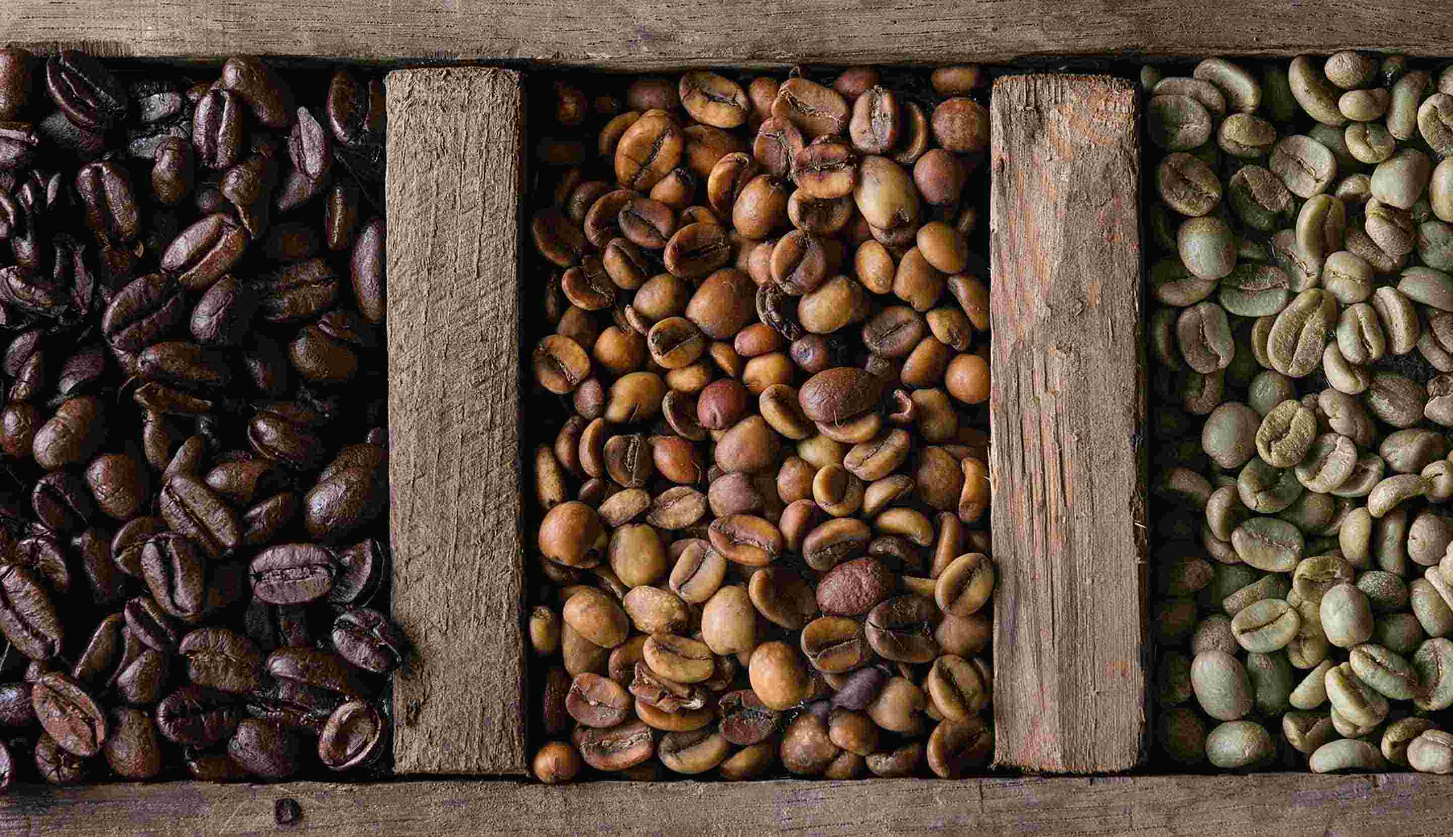 Mengenal Klasifikasi dan Grade Biji Kopi Hijau dan Cara Tepat Menyimpannya