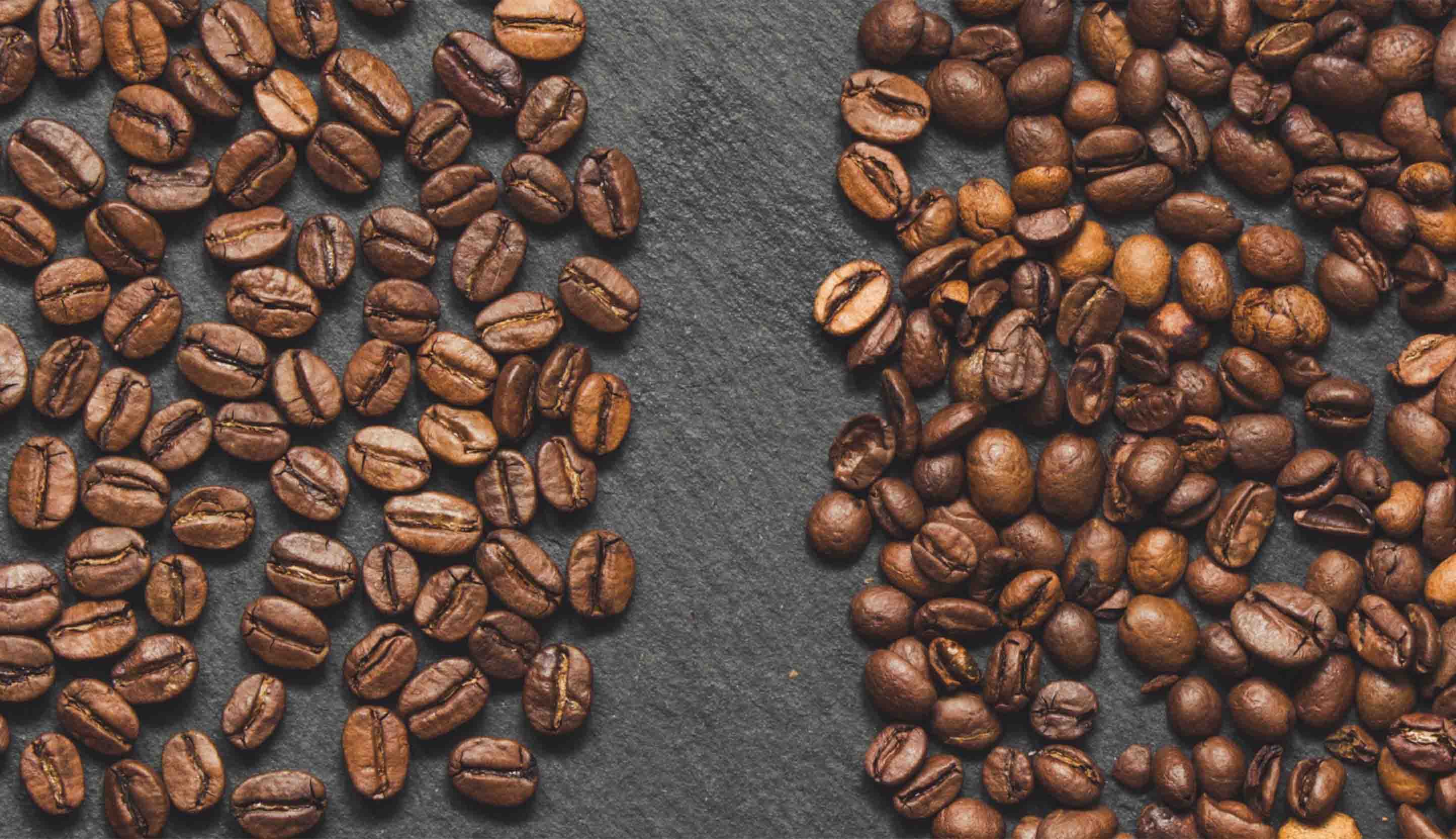 kopi blend