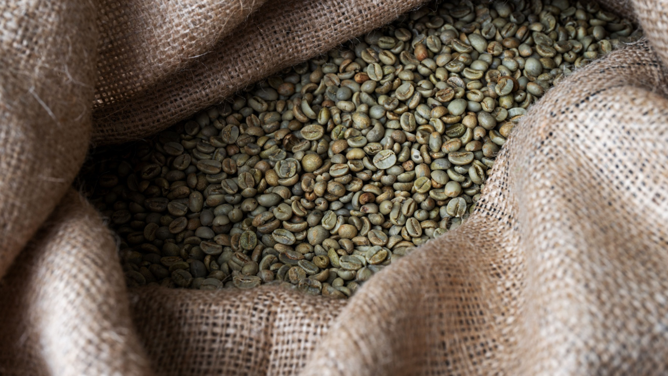 Green Bean: Biji Kopi Premium untuk Kamu yang Pencinta Kopi Sejati!