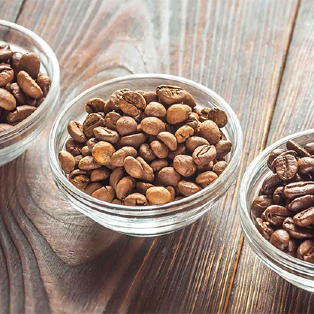 Types of Robusta Coffee in Indonesia that You Need to Know!