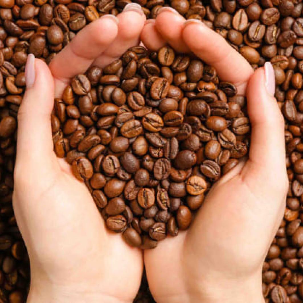 The Best Things About Premium Coffee You Should Know