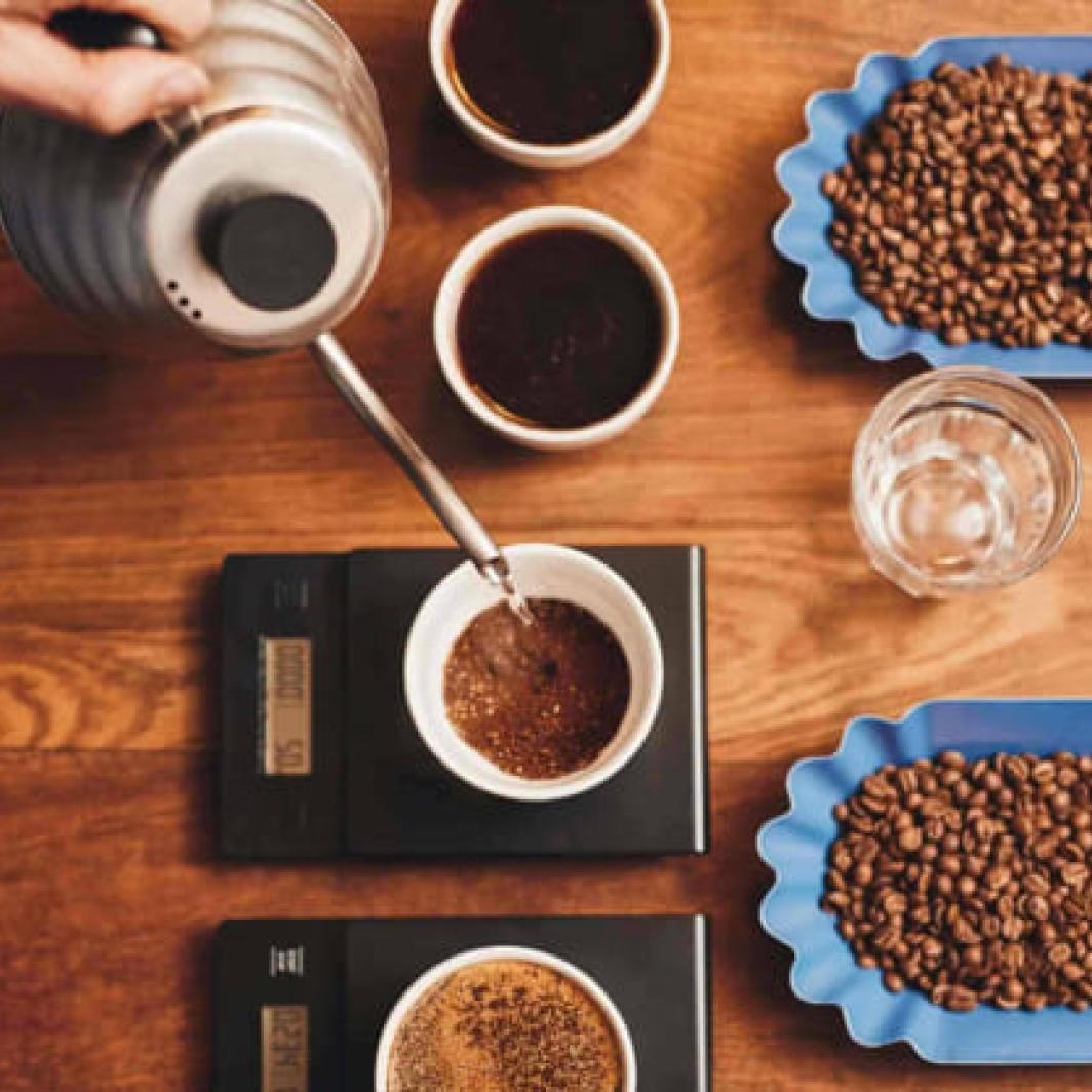 Mengenal 7 Varietas Kopi Single Origin yang Ada di Dunia