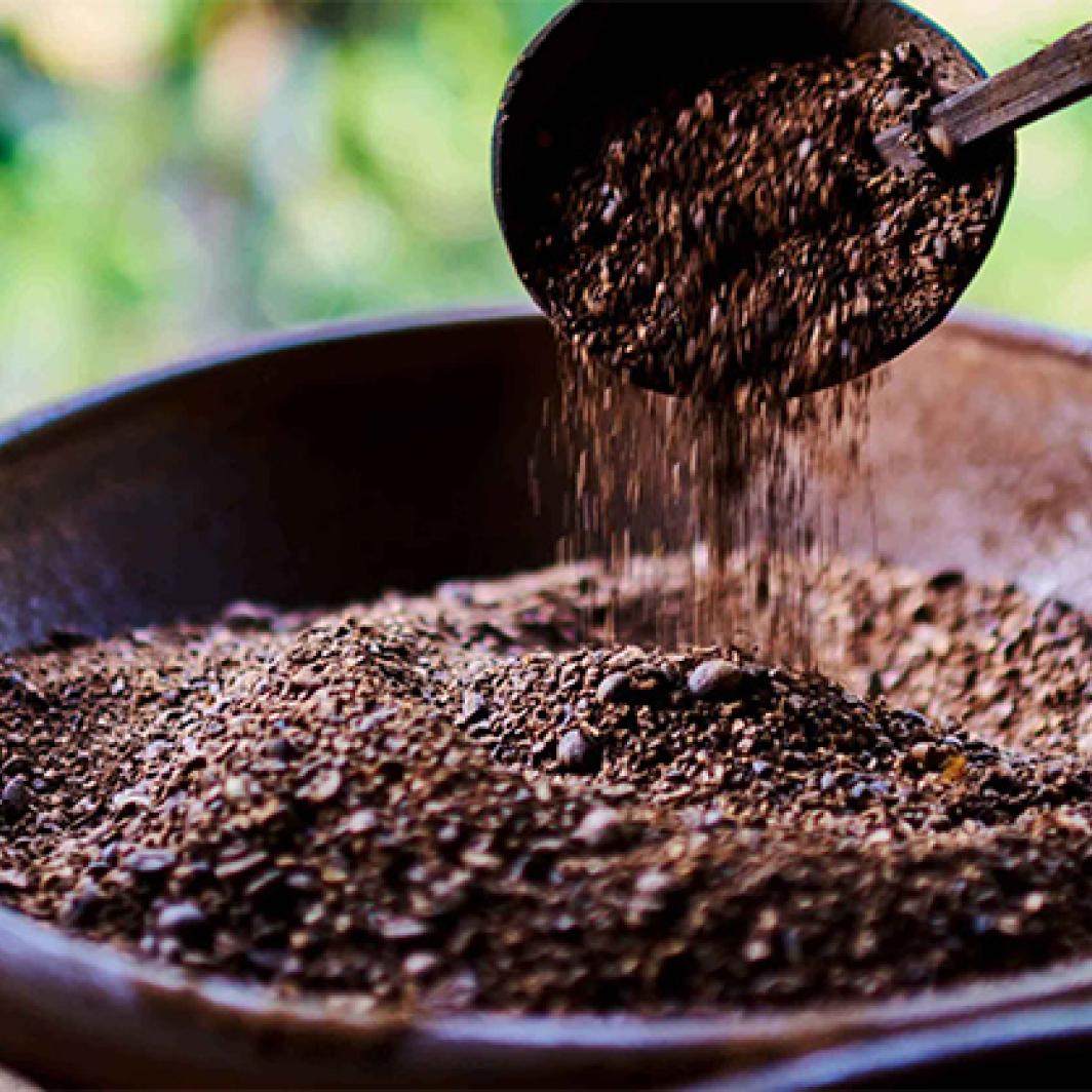 Getting to Know the Characteristics of Solok Coffee, a Type of Indonesian Coffee with Many Uniqueness