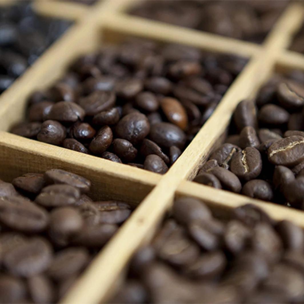 Getting to Know the Characteristics and Distinctive Qualities of Lampung Coffee, the Favorite Type of Coffee in Indonesia