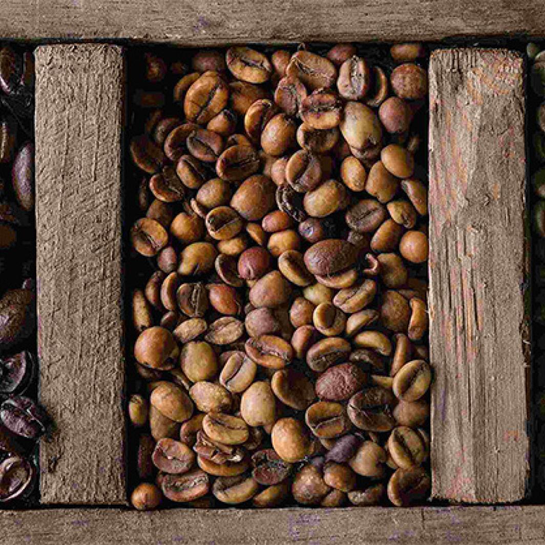 Mengenal Klasifikasi dan Grade Biji Kopi Hijau dan Cara Tepat Menyimpannya