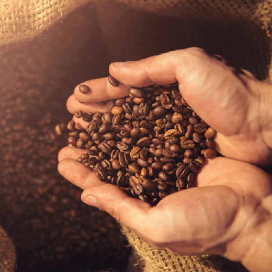 Flores Coffee: Tasty Coffee Type from Eastern Indonesia