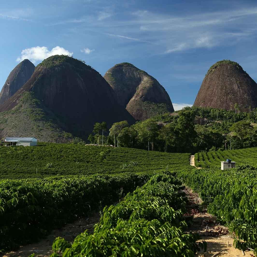 11 Inspiring Books About Coffee