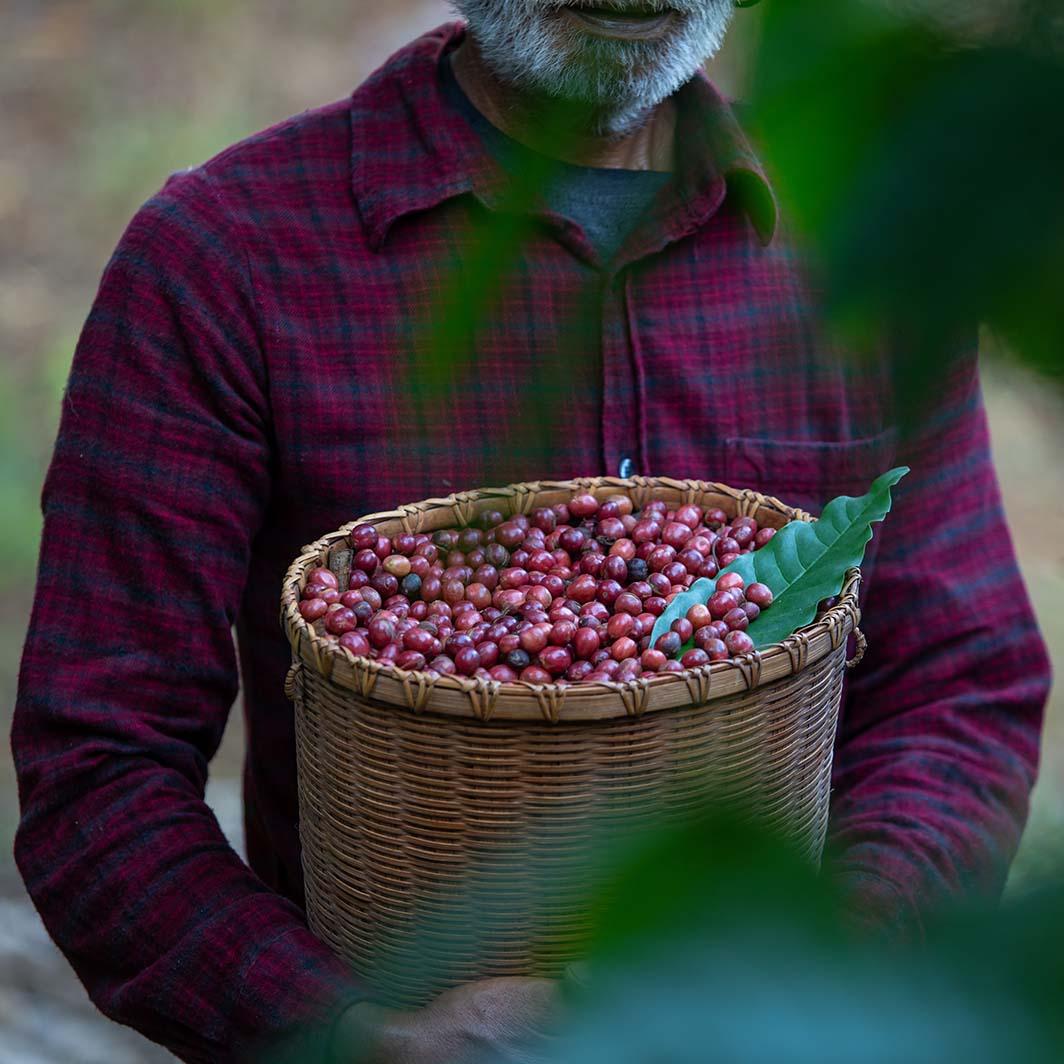 What Is Craft Coffee?