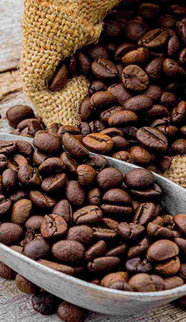 Mengenal Jenis Biji Kopi Hitam