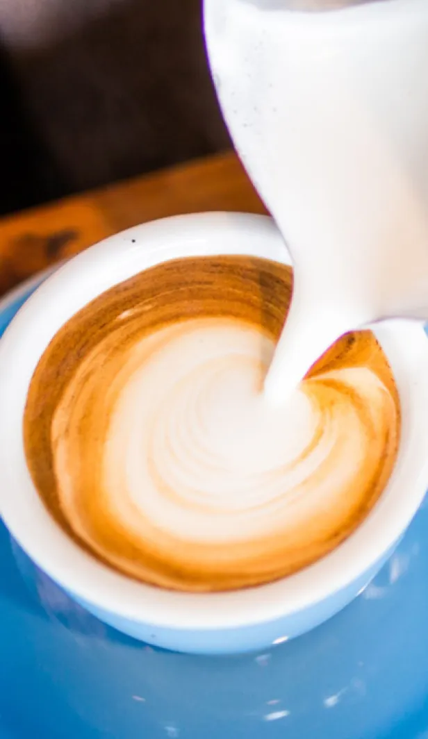beda flat white dan latte