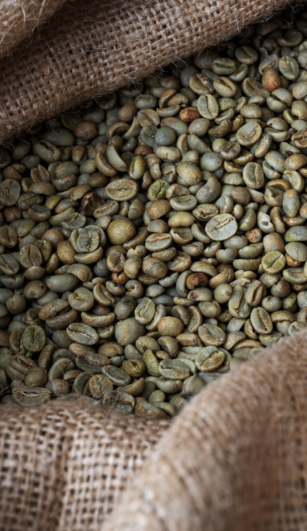 Green Bean: Biji Kopi Premium untuk Kamu yang Pencinta Kopi Sejati!