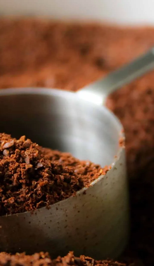Bagaimana Kopi Tanpa Kafein Dibuat?