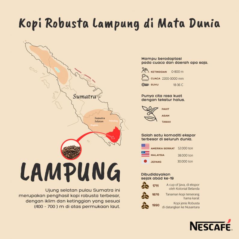 Jenis Kopi di Indonesia yang Sukses Mendunia, Apa Saja_Robusta Lampung di Mata