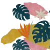 Plant illustration