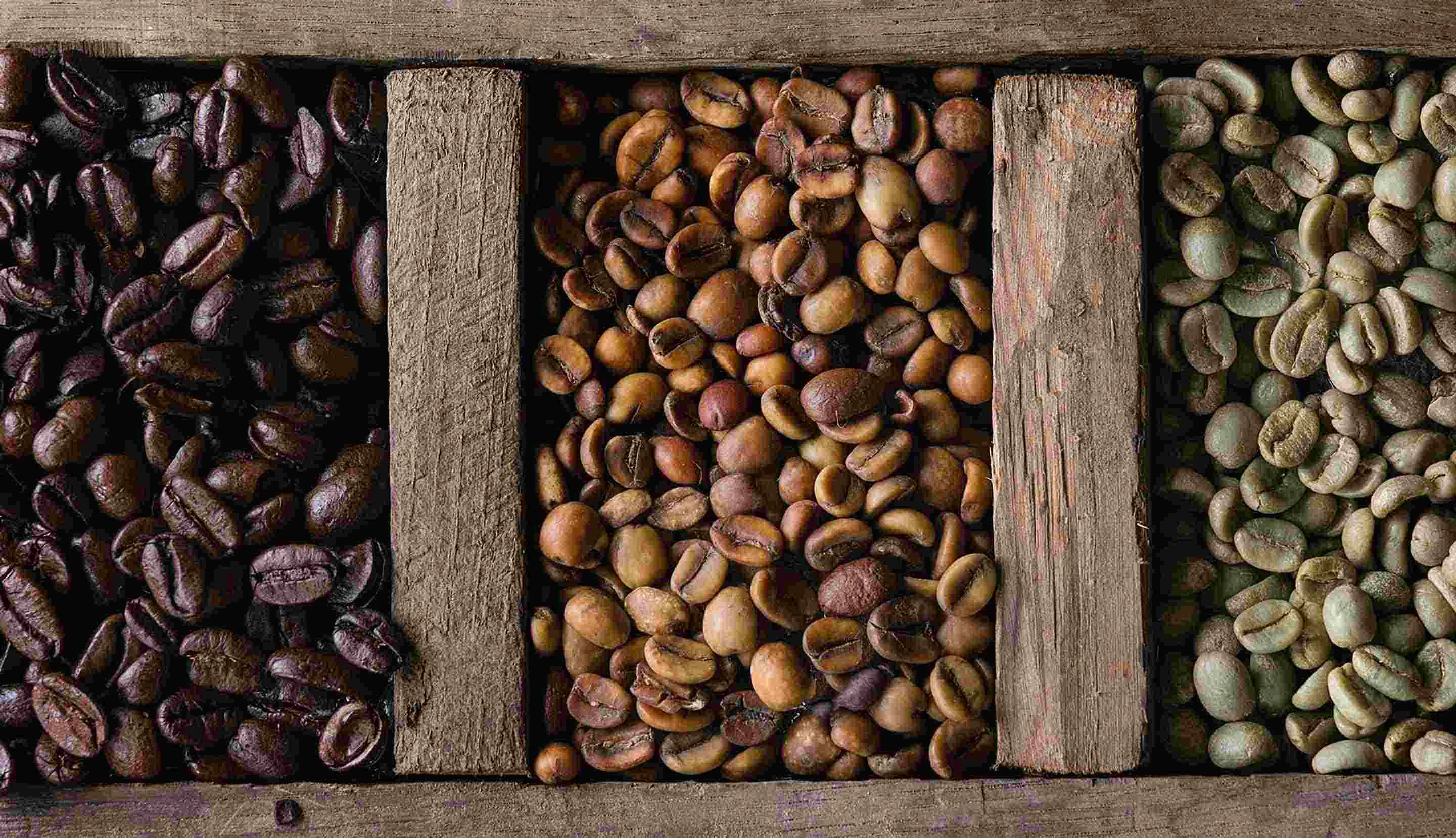 Mengenal Klasifikasi dan Grade Biji Kopi Hijau dan Cara Tepat Menyimpannya