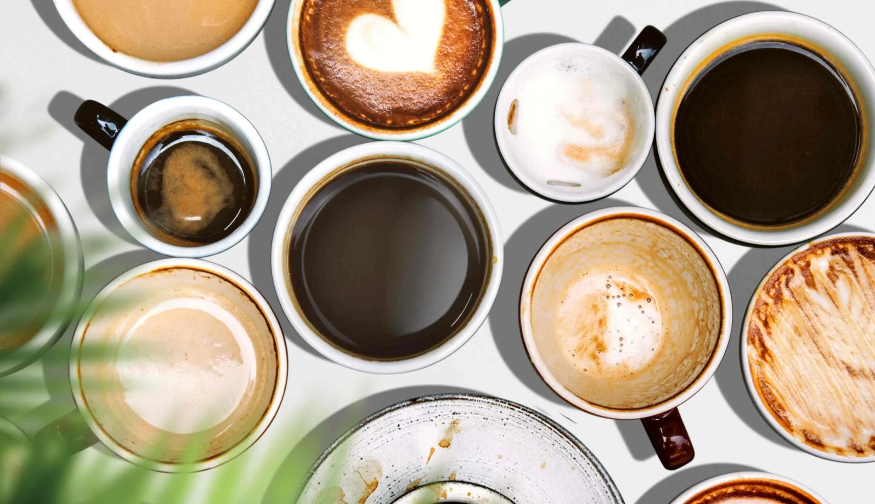 Minuman yang mengandung kafein