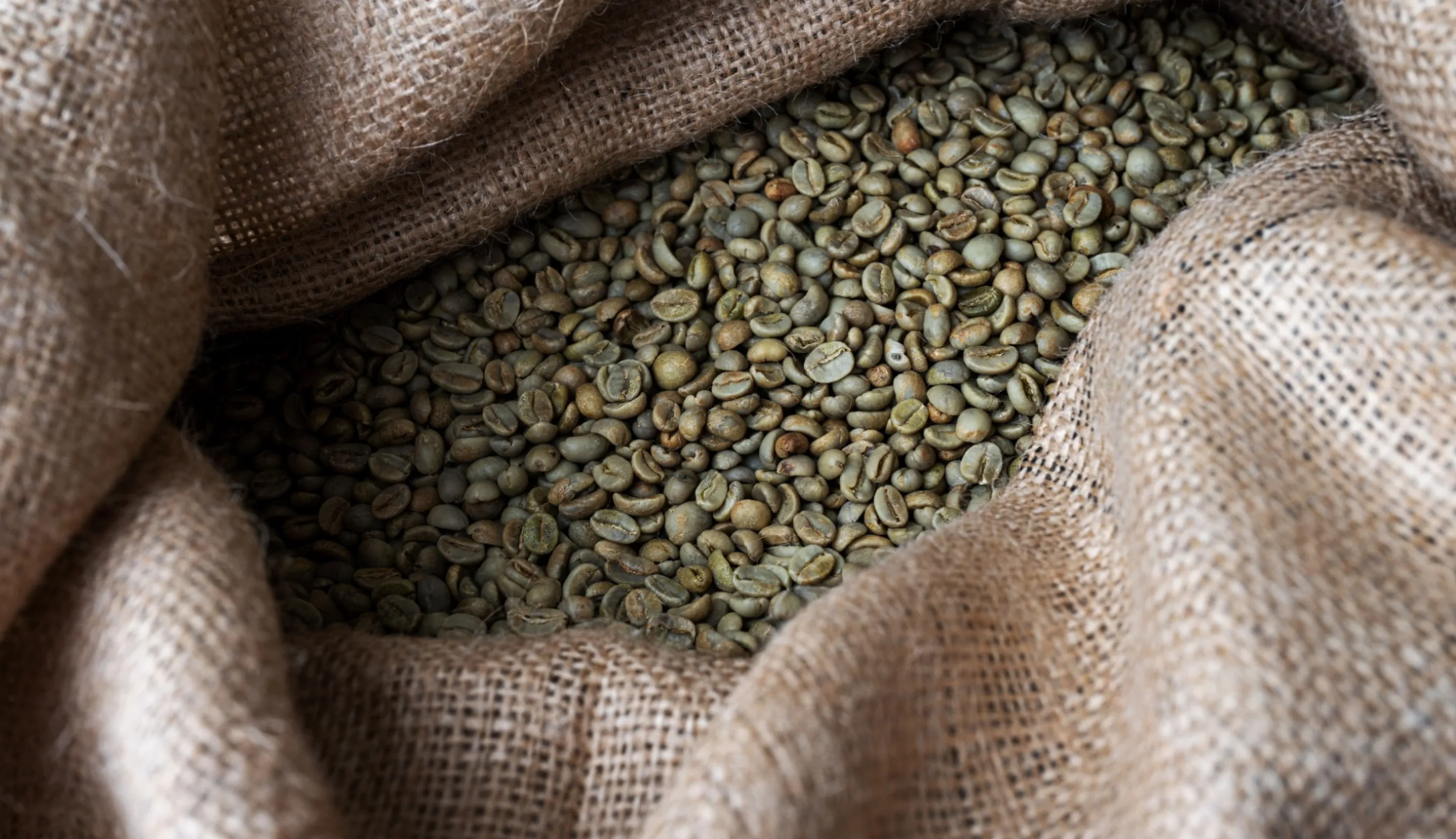 Green Bean: Biji Kopi Premium untuk Kamu yang Pencinta Kopi Sejati!