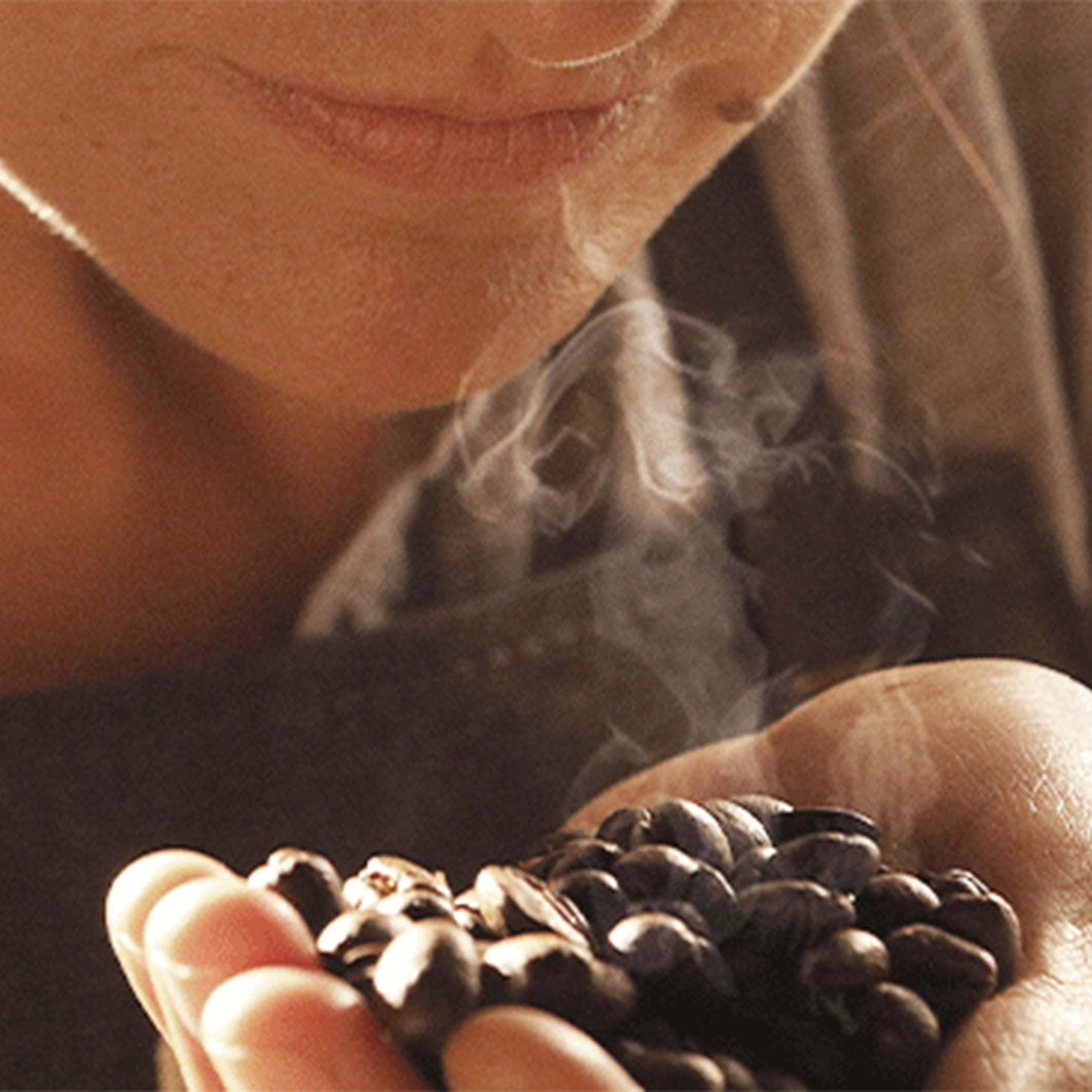 סדרת רוסטרי (בית הקלייה) של נסקפה טייסטרס צ'ויס