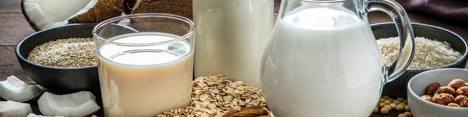 Raw ingredients and alternatives to dairy milk