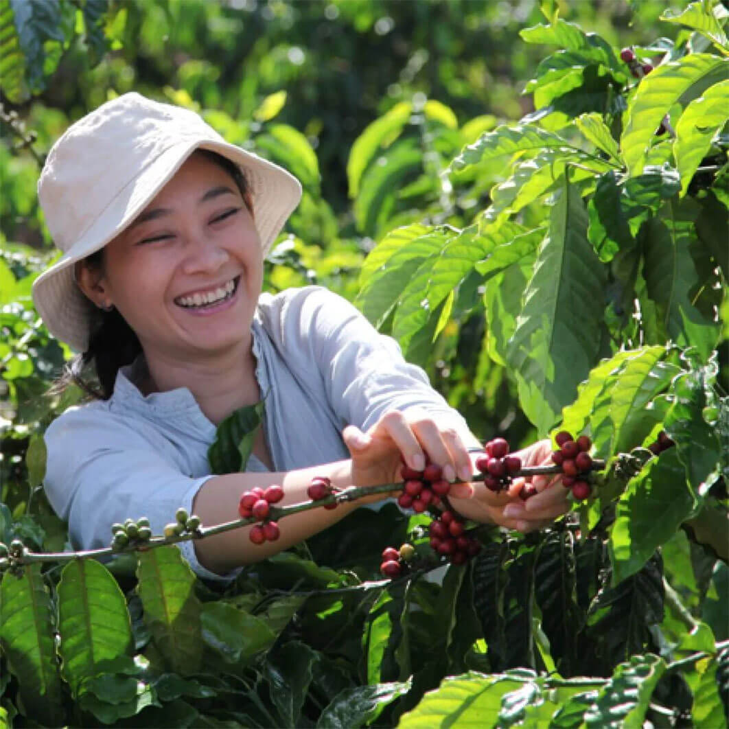 Portare il caffè in Cina