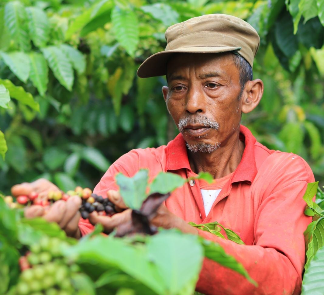 Rich hostory of coffee