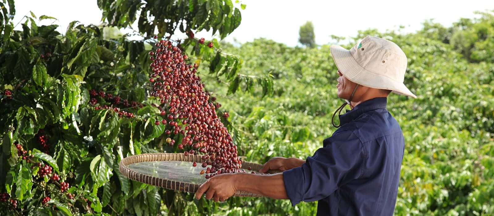 NESCAFÉ, un marchio attento alla sostenibilità