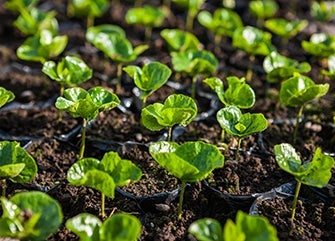 Un piano di sostenibilità da 10 anni