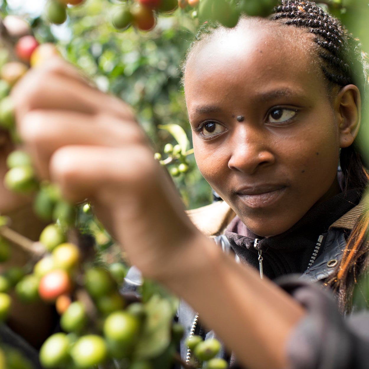 E' tempo di crescere