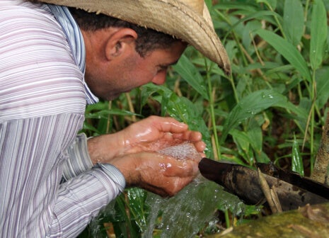 Conservazione dell'acqua
