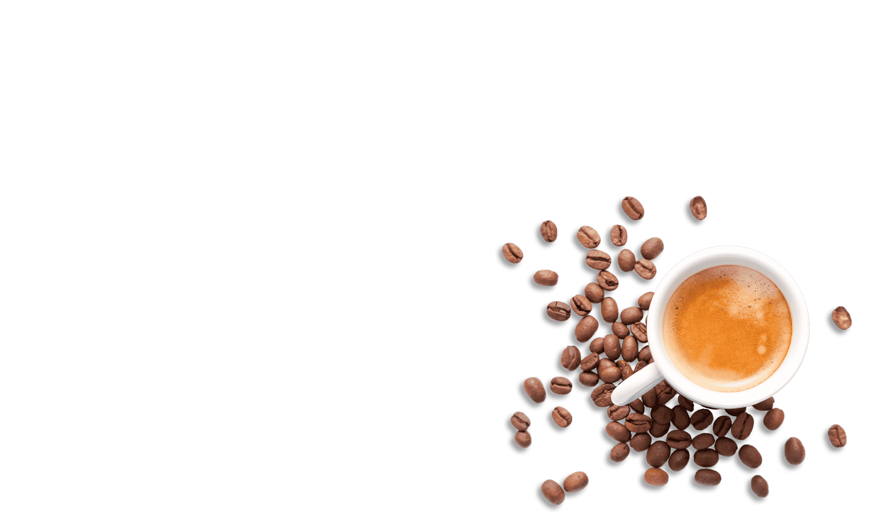 Guida ai diversi tipi di caffè