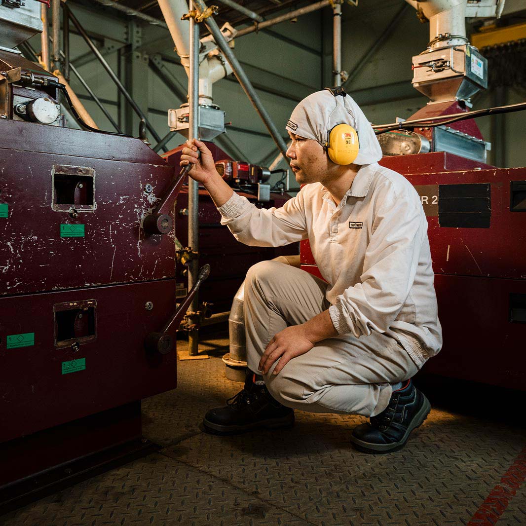 macinatori di caffè e gusti del caffè