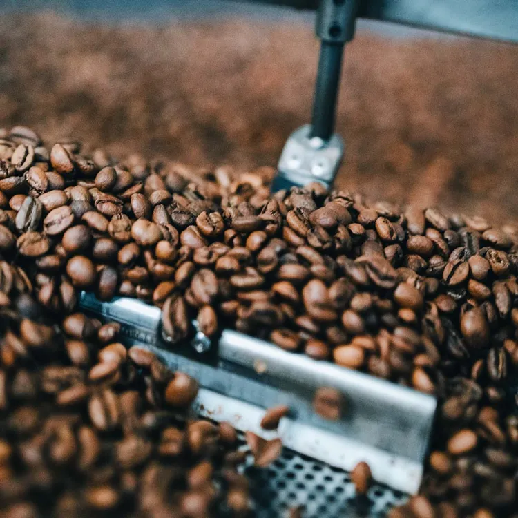 fase di sviluppo del processo di tostatura del caffè