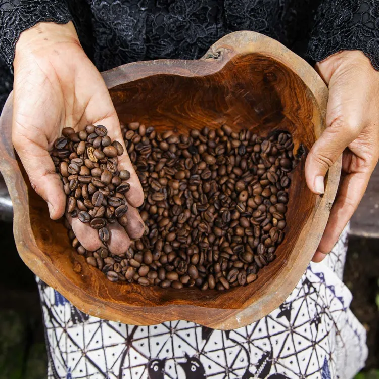 Cultura del caffè in Indonesia
