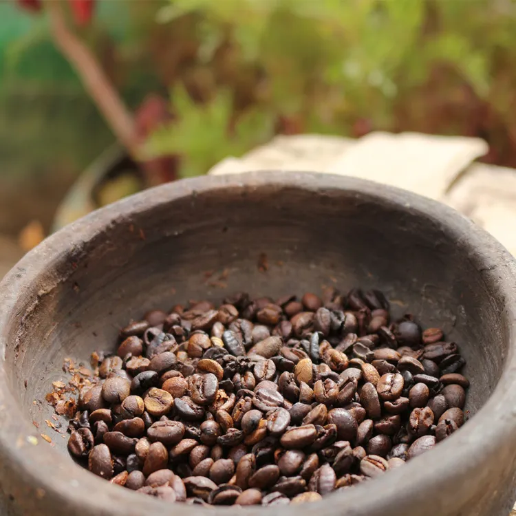 Cultura del caffè in Yemen