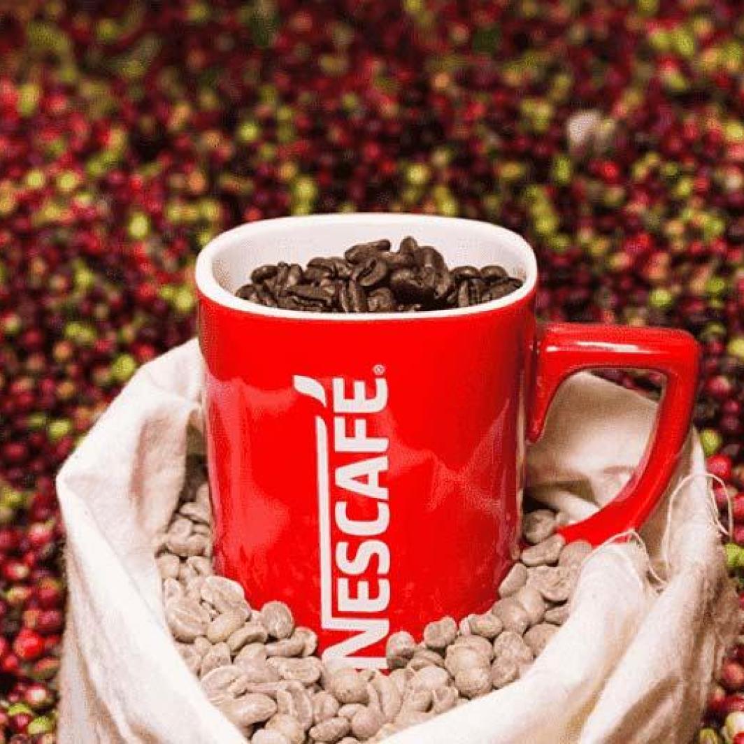 Nescafé Plan