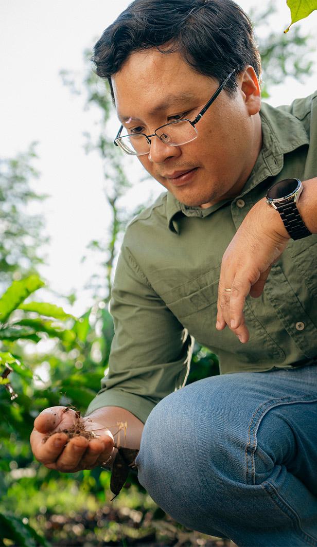 agronomi del caffè