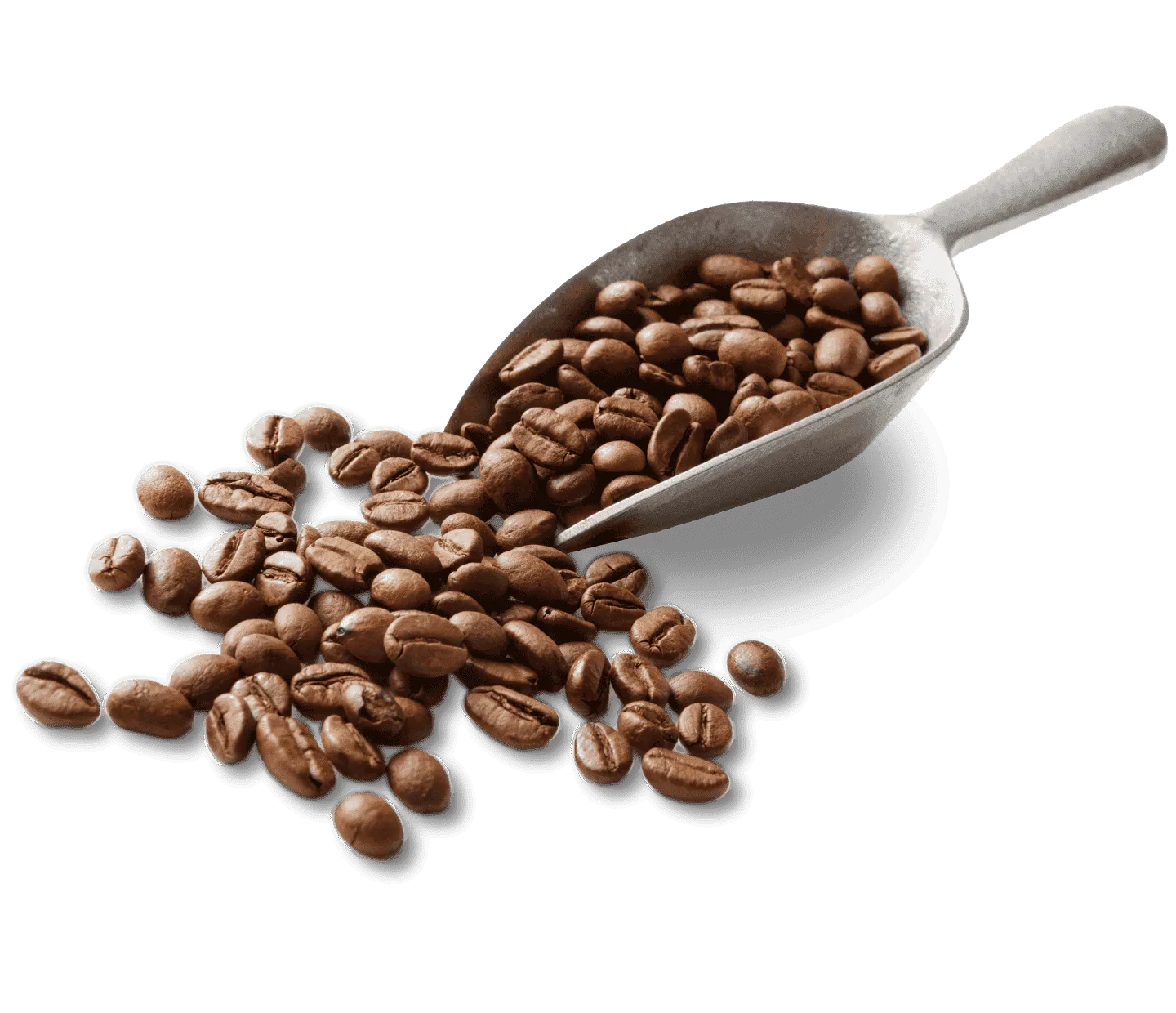 torrefattori di caffè nescafé