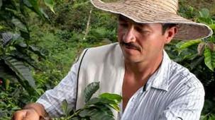 Agricoltura rigenerativa e caffè