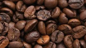 Programmi imprenditoriali Nescafé®