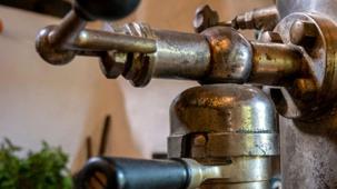 Struttura del chicco di caffè