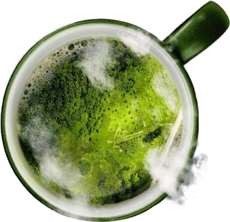 네스카페 책임 재배 커피