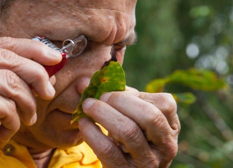 생물 다양성의 추구