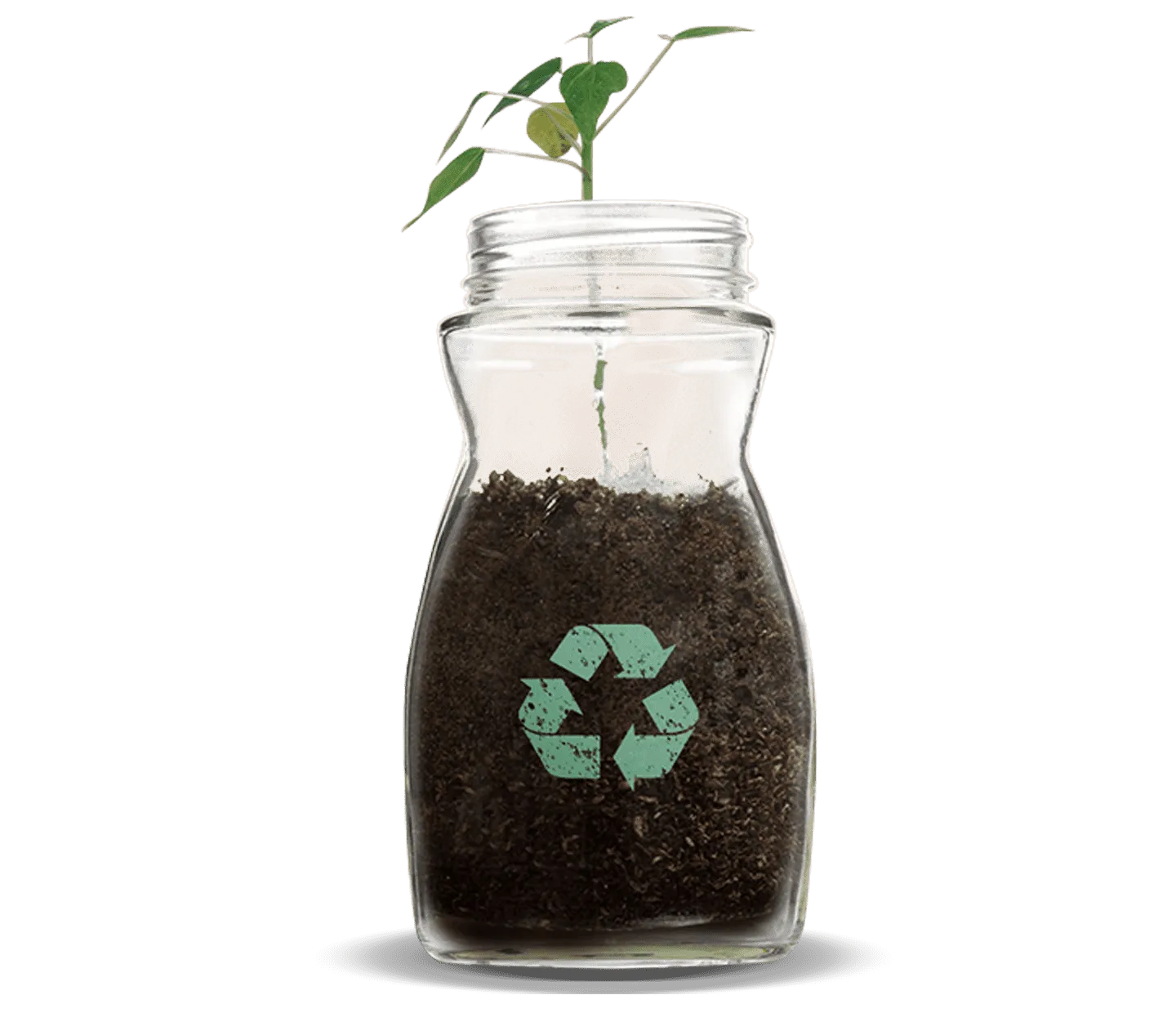 sustainability tips