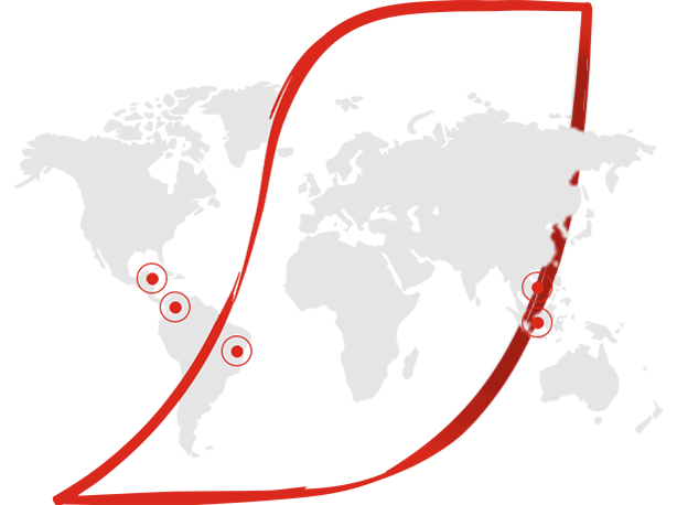 responsibly sourced coffee beans