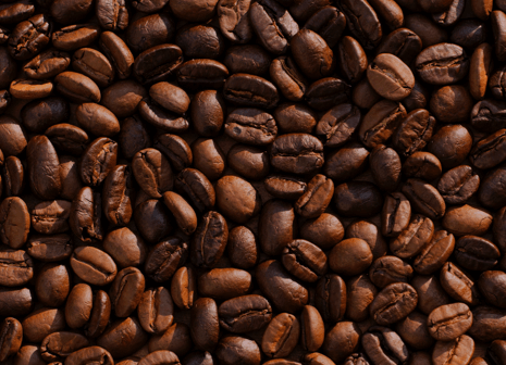 أيقونة الحقيقة 2