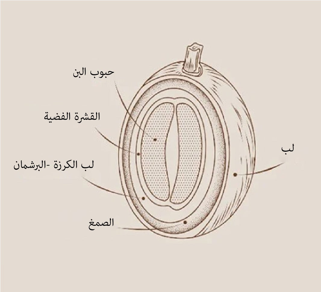 quality coffee roasts